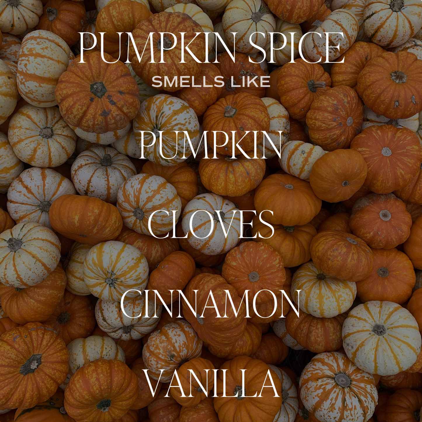Sweet Water Decor - Pumpkin Spice 15 oz Soy Candle, Matte Jar - Fall Decor